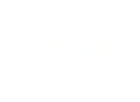 Fanatics